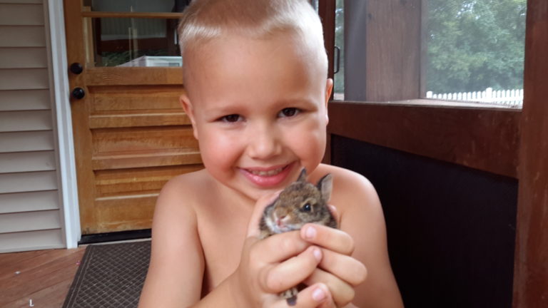 Chicken Bacon Ranch Paninis